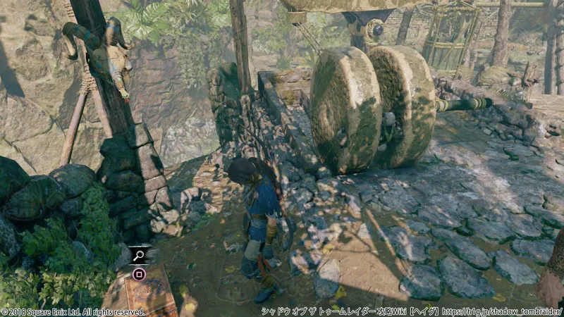 25%