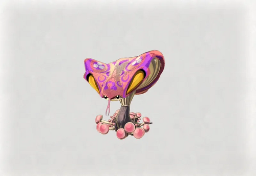 マッシュネーク