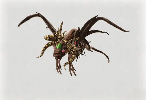 ボーンフィッシュ