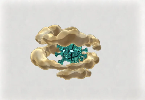 ダスターガイスト