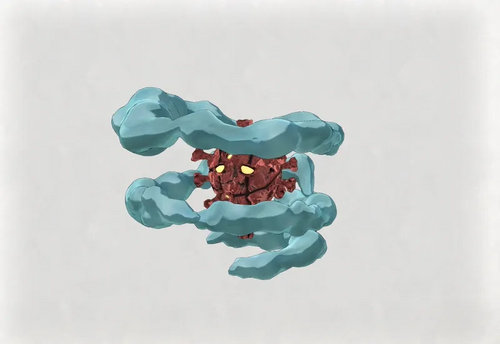 フォレストミスト