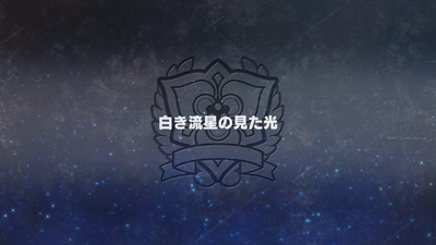 白き流星の見た光