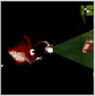 アニマルフレンド