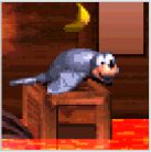 アニマルフレンド