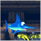 アニマルフレンド