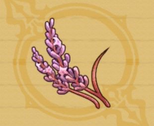 レッドラベンダー