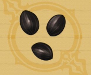 アマリリスの種