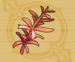 レッドローズマリー