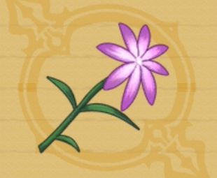 花畑で摘んだ花