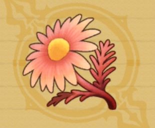 レッドカモミール