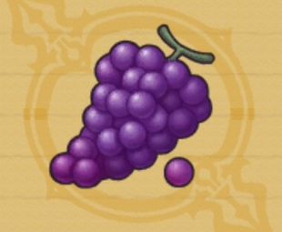 ブドウ
