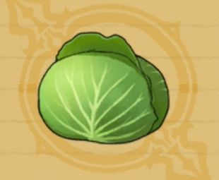 キャベツ
