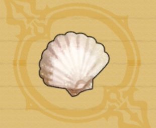 貝殻