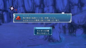 ラントの裏山 崖下