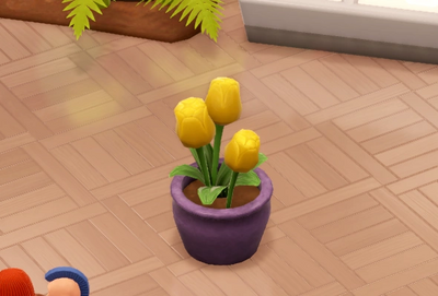 チューリップ鉢