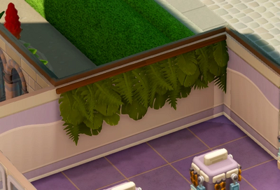 ジャングルの壁