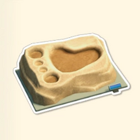 左の足跡の化石