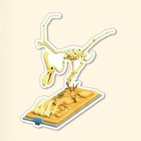 パタパタダクトルの骨