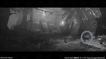 収集物「おおかむづみのみこと」