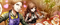 エンドレスサーブ.webp
