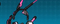 セットアップ.webp