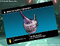 Cimg 010.webp