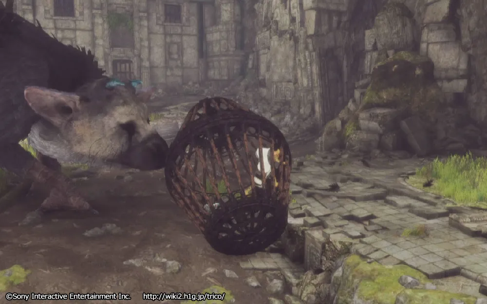 チャート10／m 51.webp