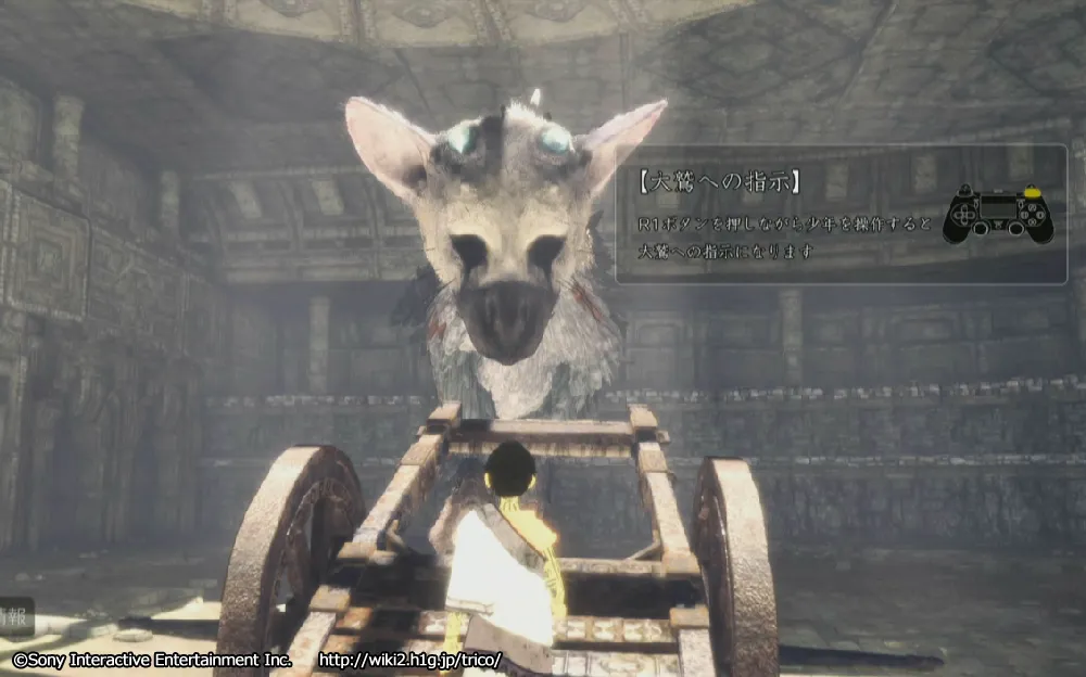 チャート9／m 43.webp