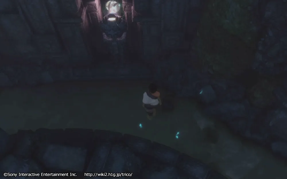 チャート10／m 48.webp