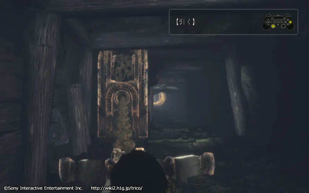 チャート11／m 55.webp