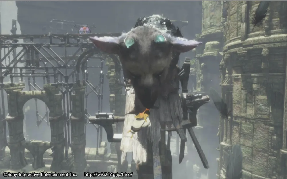 チャート5／m 23.webp