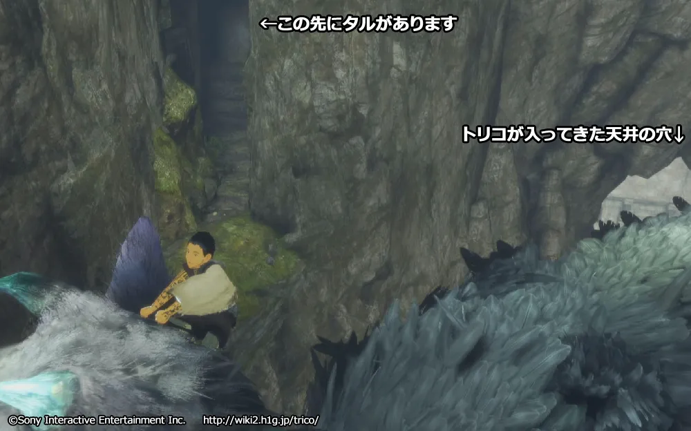 チャート10／m 92.webp