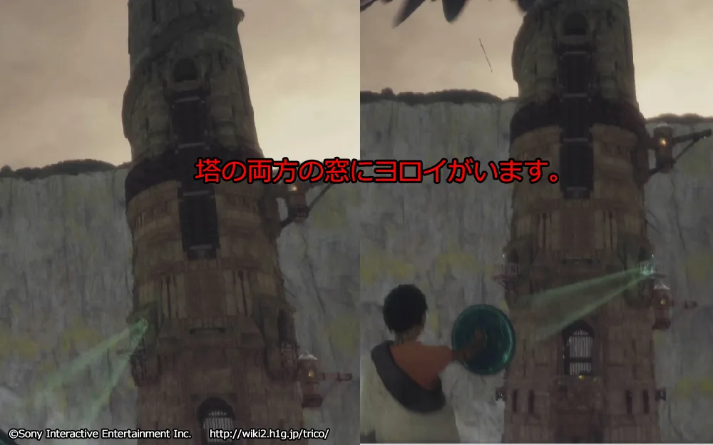 チャート13／m 65.webp