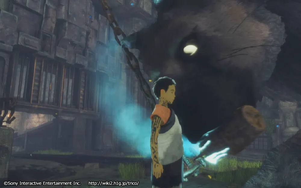 チャート5／m 20.webp