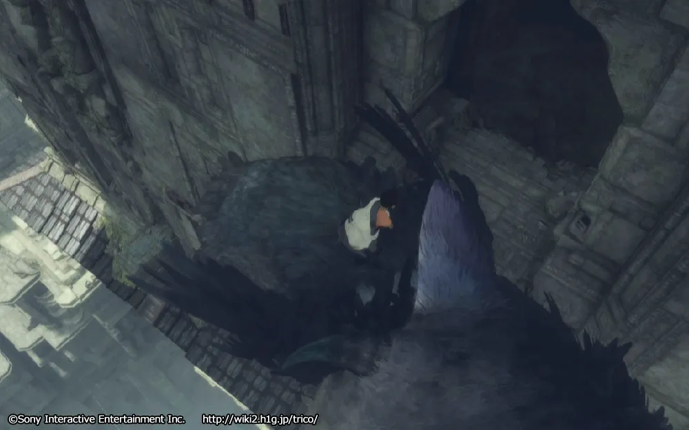 チャート11／m 57.webp