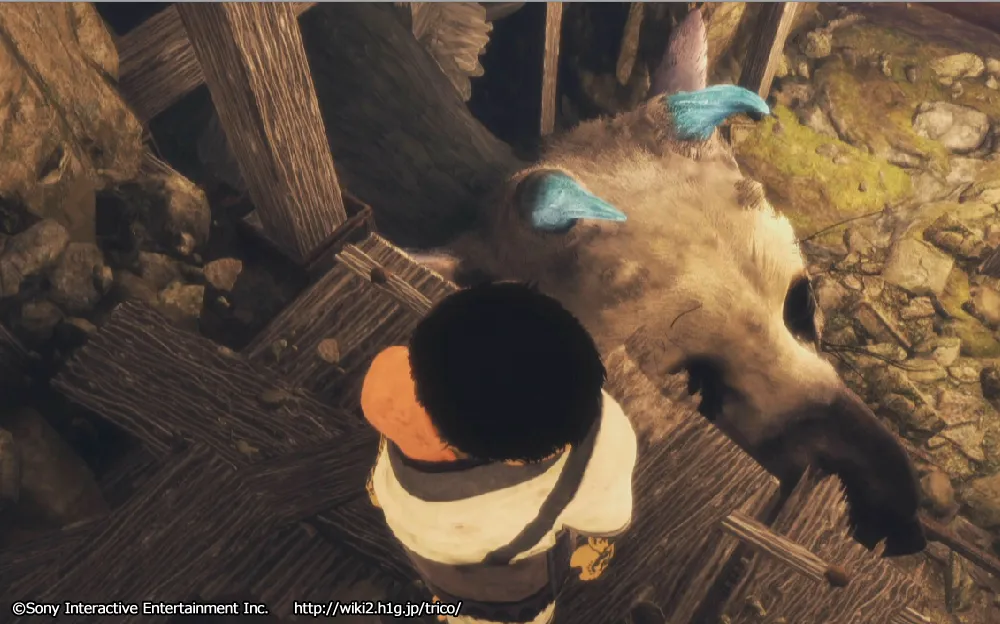 チャート11／m 54.webp