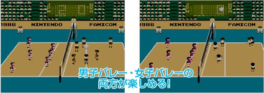 「バレーボール」とは