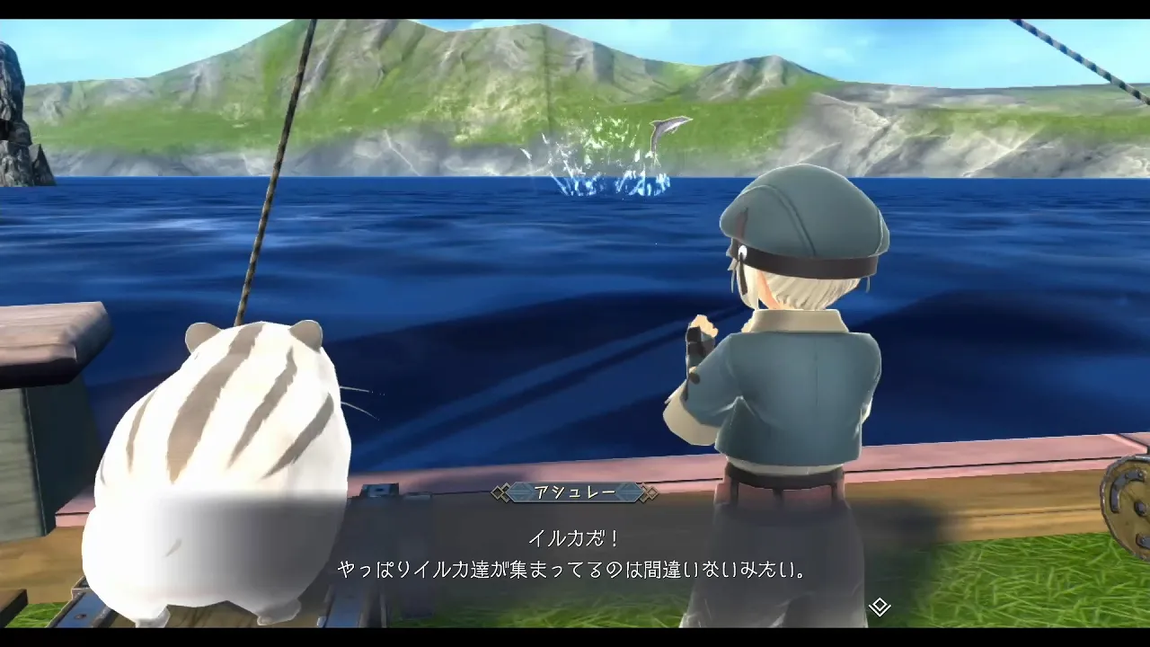 幸運のシロイルカの画像