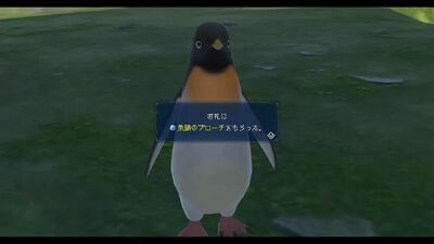 寡黙なペンギン2