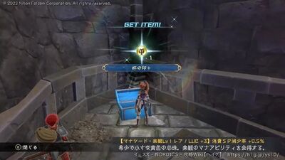 テルミナ島の宝箱画像