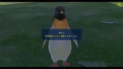 寡黙なペンギン4