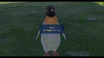 寡黙なペンギン3