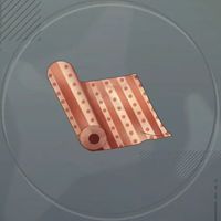 フェトルクロス