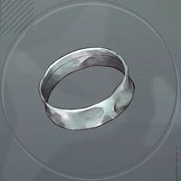 闘志のバングル