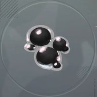 ぷにぷに玉・黒