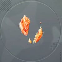 渦巻く炎の欠片