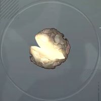 オレオール原石