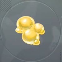 ぷにぷに玉・金