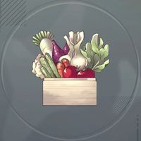 中級食材セット