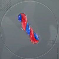 神秘の二重螺旋